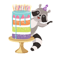 Sticker gif. Racoon with a birthday hat peeks out over the side of a tall rainbow birthday cake with a bunch of candles on top. It waves at us eagerly.