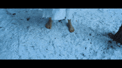 game of thrones horse GIF by 4AD
