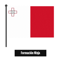 Flag Bandera Sticker by Formación Ninja