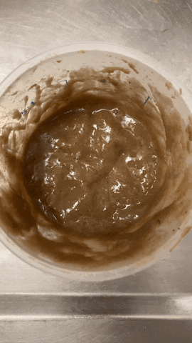 Emmapicanyol giphyupload GIF