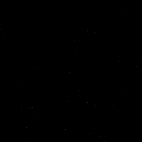 Hockey Nikita GIF by Eisbären Berlin