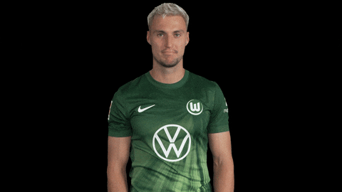 Like A Boss Deal With It GIF by VfL Wolfsburg