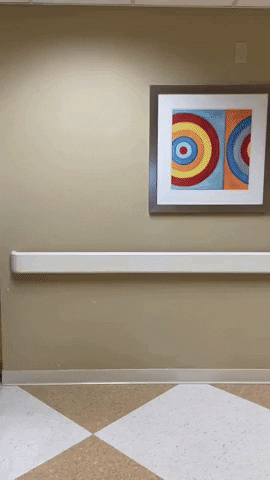 CardinalGlennon giphygifmaker cardinalglennon sunrun2020 flatrunner GIF