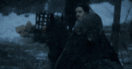 vulture game of thrones got jon sansa GIF