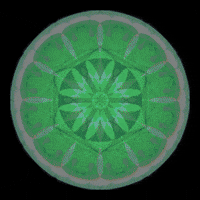 mesmerizing 11:11 GIF by moon mandalas app