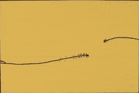 post it short film GIF by Digg