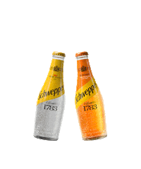 schweppesturkey cheers 2020 newyear mutlu yıllar Sticker