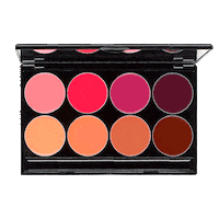 Makeup Lips Sticker by Mehron Mexico