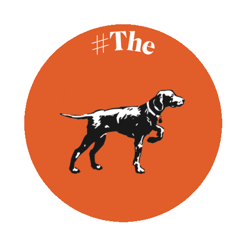 thesolloggroup giphyupload the sollog group Sticker