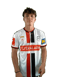 Steiner Admira Sticker by KSV1919