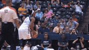 chicago sky basketball GIF by Indiana Fever