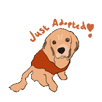 Adopted Sticker by Camp Cocker Rescue