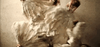 green light GIF by John Legend