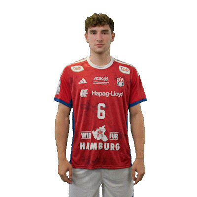 Handball Hamburg Sticker by DAIKIN HBL