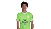 Happy Dance Sticker by VfL Wolfsburg