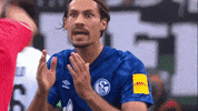 German Soccer Wtf GIF by FC Schalke 04