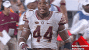 florida state football GIF by SHOWTIME Sports