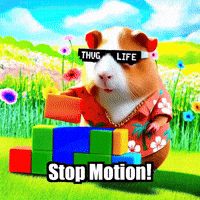 Stop Motion Animation GIF by Guinea Gambino
