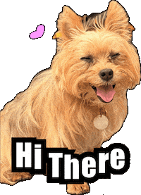 Dogs Pets Sticker by impactcollision