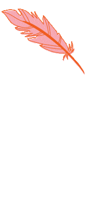 Thanksgiving Feathers Sticker by Packed Party