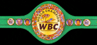 Box Champion GIF by wbcboxing