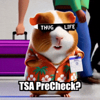 GIF by Guinea Gambino