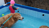 Pool Party: Little Girl Enjoys Paddling With Her Dogs
