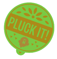 Ice Cream Sweets Sticker by Halo Top Creamery