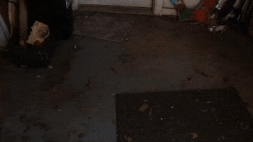 Fixer Upper Demo GIF by JC Property Professionals