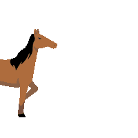 Horse Atv Sticker by iamcappadocia