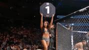 ufc 205 GIF