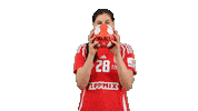 Women Euro Sticker by EHF