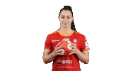 Handball Euro Sticker by EHF
