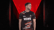 Posing Line Up GIF by Bundesliga