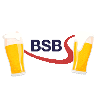 Bsb Sticker by Belgium Rugby