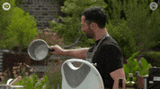 Andy Allen GIF by MasterChefAU
