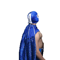 maskadorestacoshopaz wrestling wrestler lucha lucha libre Sticker