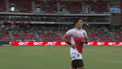 Taking One For The Team Japan GIF by World Rugby