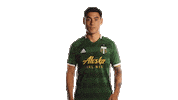 Portland Timbers Mls Sticker by Timbers