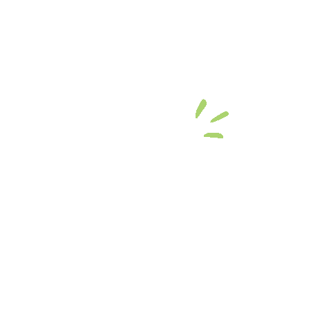 fashion greek Sticker by Tricoci  University