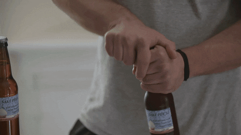 beer GIF by BEERLAND