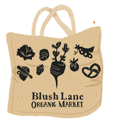 blushlane giphyupload local shop local peaches Sticker
