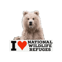 National Wildlife Refuge Bear Sticker by U.S. Fish and Wildlife Service