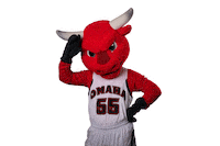 Durango Hello Sticker by UNO Mavericks