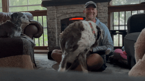 Happy Birthday Barney GIF by Summit Comedy, Inc.