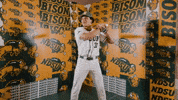 Dante Smith Baseball GIF by NDSU Athletics