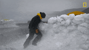 Nat Geo Explorer GIF by National Geographic Channel