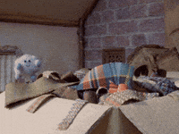Good Morning Love GIF by Tweedy & Fluff