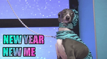 New Year Dog GIF by chuber channel