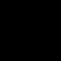 Its Your Time Shine GIF by Chippy the Dog